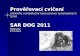 Prověřovací cvičení  SAR DOG  2011