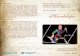 Jiří Hanousek - · PDF fileProgram: Bernhard Henrik Crusell Kvartet pro klarinet, housle, violu a violoncello č. 2 op. 4 Rezsö Kókai Qartettino pro klarinet, housle, violu a violoncello