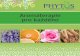 Aromaterapie pro každého - · PDF file Aromaterapie pro každého. Úvod Esenciální oleje, které jsou obsaženy a získávány z různých částí rostlin, jsou známy a používány